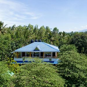 The Midway Jungle Resort